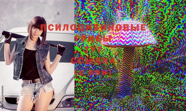 спиды Алексин