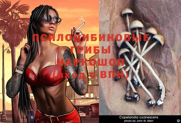 меф Алзамай