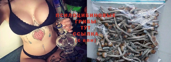 индика Няндома